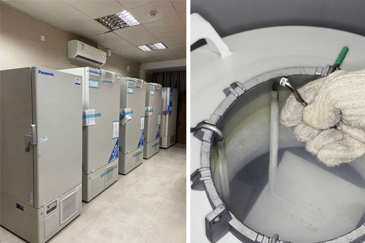 低溫冰箱與液氮罐